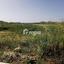plot for sale latsia nicosia 1779247 thumbnail 5575323
