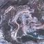land for sale agios tychonas limassol 7751347 thumbnail 10291149
