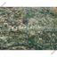 land for sale alaminos larnaca 8281347 thumbnail 14002539