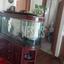 studio building for rent faneromeni larnaca 8081347 thumbnail 13099303