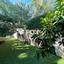 5 bedroom detached house for sale agios spyridonas limassol 1148447 thumbnail 17878736