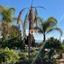 5 bedroom detached house for sale agios spyridonas limassol 1148447 thumbnail 17878744
