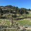 land for sale nikitari nicosia 946447 thumbnail 15601129