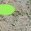 plot for sale livadia larnacas larnaca 1212447 thumbnail 16190416