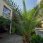 4 bedroom apartment for rent agios andreas nicosia nicosia 8814547 thumbnail 17542345