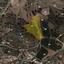 land for sale agios tychonas limassol 1237547 thumbnail 1922066