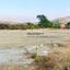 land for sale eptagoneia limassol 1141647 thumbnail 17566061