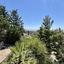 3 bedroom detached house for sale kamares tala paphos 8958747 thumbnail 17774742
