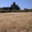 land for sale kouklia pafou paphos 8630747 thumbnail 16318198