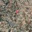 land for sale stroumbi paphos 896747 thumbnail 842521