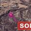 land sold skarinou larnaca 1171747 thumbnail 2603561