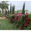 4 bedroom detached house for rent pyrgos limassol limassol 1576847 thumbnail 14866737