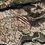 land for sale lefkara larnaca 830847 thumbnail 2829138