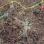land for sale avgorou famagusta 822947 thumbnail 15601984