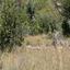 land for sale kritou tera paphos 1215947 thumbnail 15602071