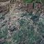 land for sale lythrodontas nicosia 8898947 thumbnail 17364572