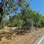 land for sale pomos paphos 1517947 thumbnail 13346970