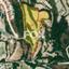 land for sale tsada paphos 1158947 thumbnail 5512144