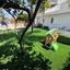 3 bedroom apartment for sale kapparis famagusta 8839057 thumbnail 17036559