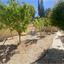 3 bedroom detached house for sale agios athanasios limassol 7559057 thumbnail 17082742