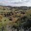 land off market psathi paphos 8659057 thumbnail 17011352