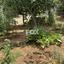 2 bedroom detached house for sale konia paphos 1270157 thumbnail 5559277