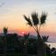 7 bedroom detached house for sale latsi paphos 8442157 thumbnail 15212411