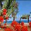 2 bedroom semi detached house for rent meneou larnaca 8863257 thumbnail 17373228