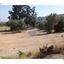 land for sale agia fyla limassol 1504257 thumbnail 14466364