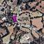 plot for sale polemi paphos 8237357 thumbnail 14228069