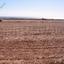 land for sale chrysopolitissa larnaca 7872457 thumbnail 11385309