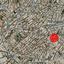 plot for sale paphos municipality paphos 1898457 thumbnail 14216282
