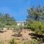 3 bedroom detached house for sale vavatsinia larnaca 1479557 thumbnail 5684772