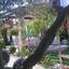 studio apartment building for sale livadia larnacas larnaca 841557 thumbnail 5394918
