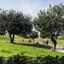 4 bedroom detached house for rent aphrodite hills paphos 8574657 thumbnail 15656760