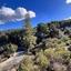 3345 SQM Land for sale in Spilia, Nicosia thumbnail 13484265