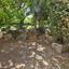 4 Bedroom Detached house for sale in Agios Georgios Limassol, Limassol thumbnail 16385690