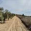 5017 SQM Land for sale in Akoursos, Paphos thumbnail 16700908
