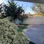 3 bedroom detached house for rent livadia larnacas larnaca 8809757 thumbnail 16816423