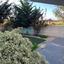 3 bedroom detached house for rent livadia larnacas larnaca 8809757 thumbnail 16816434