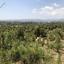 4 bedroom detached house for sale kornos larnaca 1756757 thumbnail 10629842