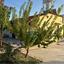 1 bedroom detached house for sale acheleia paphos 8897857 thumbnail 17353346