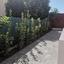 3 bedroom bungalow for sale sotiros agios ioannis larnaca larnaca 8607857 thumbnail 17429324