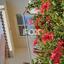 3 bedroom detached house for sale peyia paphos 8879957 thumbnail 17256207