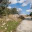 land for sale anogyra limassol 1609957 thumbnail 14456331