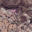 land for sale choirokoitia larnaca 1736957 thumbnail 11684227