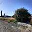 land for sale kouklia pafou paphos 1159957 thumbnail 1609831