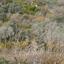 land for sale maroni larnaca 947957 thumbnail 853544