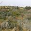 land for sale maroni larnaca 947957 thumbnail 853545