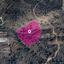 land for sale tsakistra nicosia 1057067 thumbnail 10012050